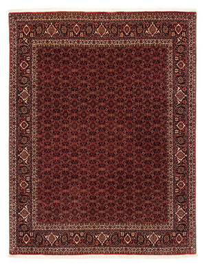 Perserteppich - Bidjar 256 x 202 cm