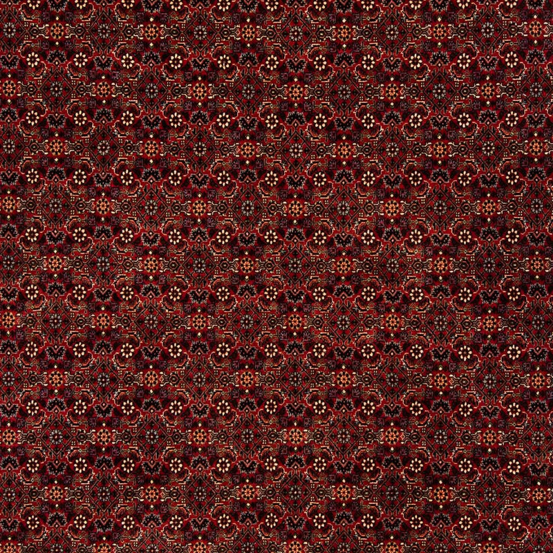 Perserteppich - Bidjar 256 x 202 cm