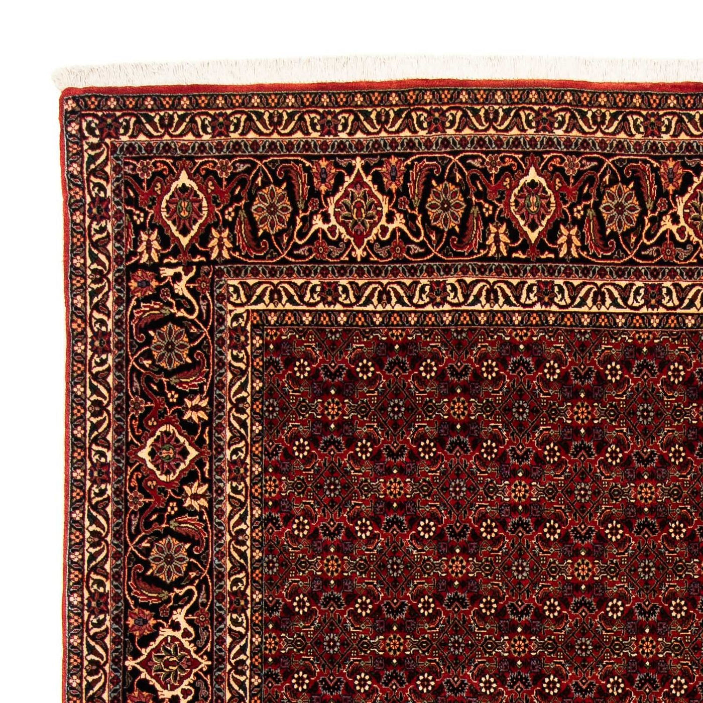 Bidjar Teppich 256x202cm - Perserteppich