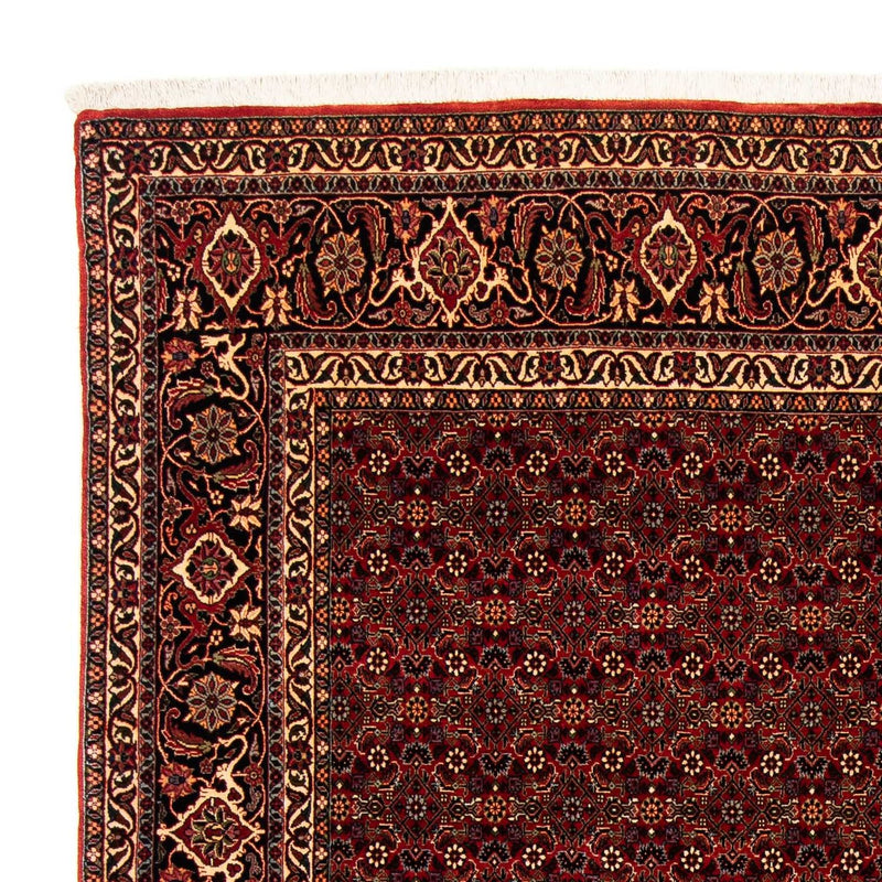 Perserteppich - Bidjar 256 x 202 cm