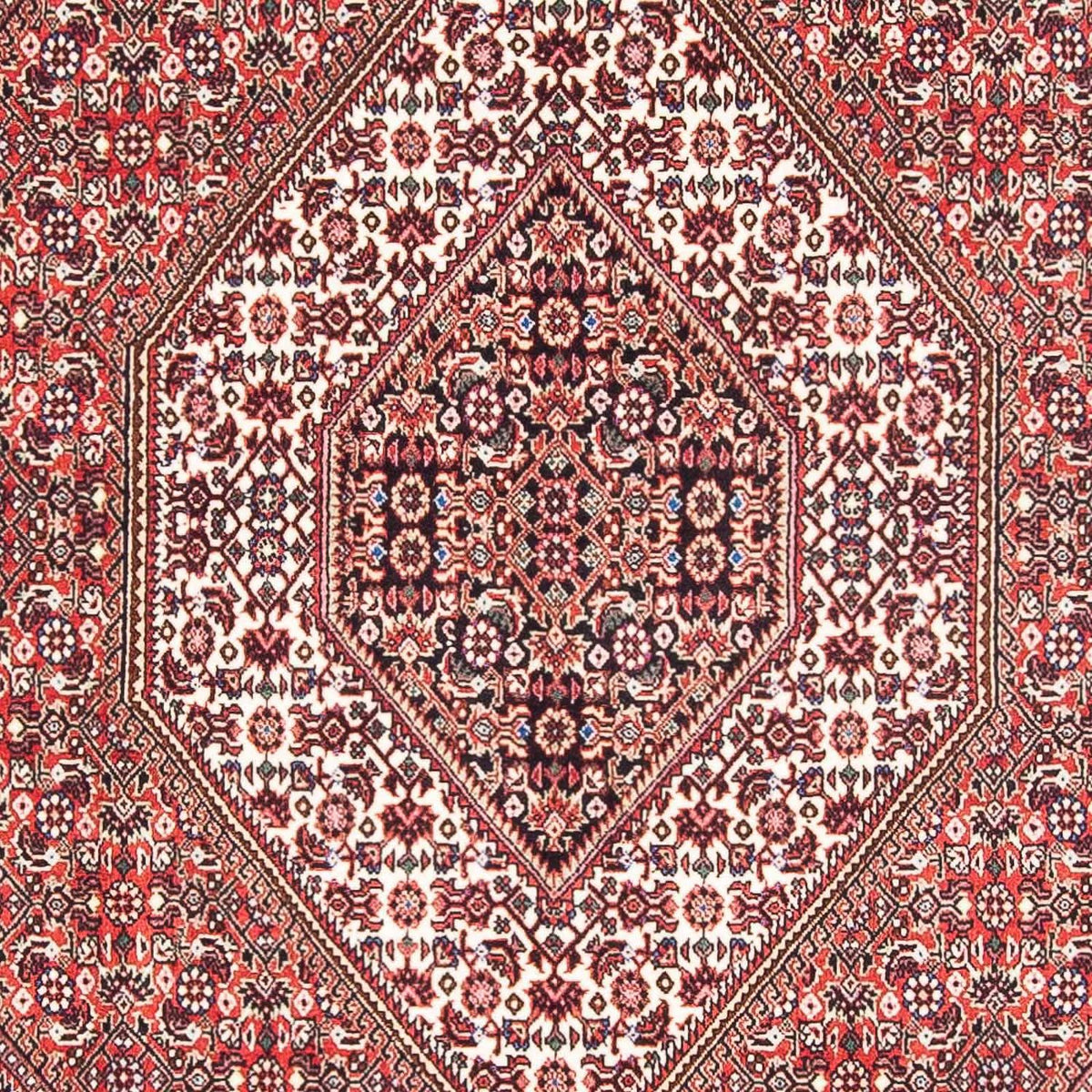 Perserteppich - Bidjar - Royal 182 x 111 cm