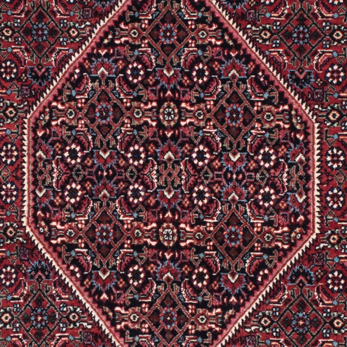 Perserteppich - Bidjar - Royal 213 x 74 cm