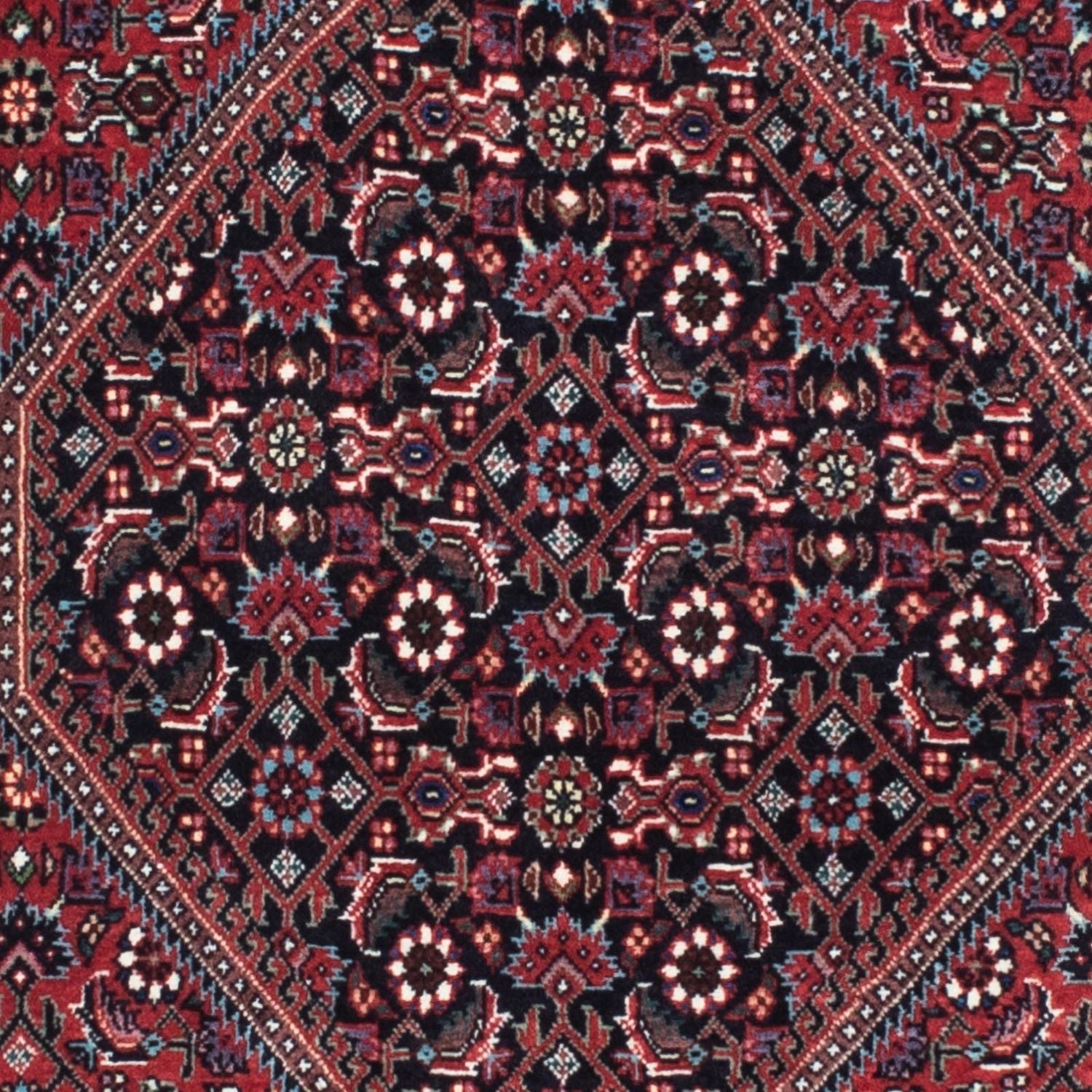 Perserteppich - Bidjar - Royal 211 x 77 cm