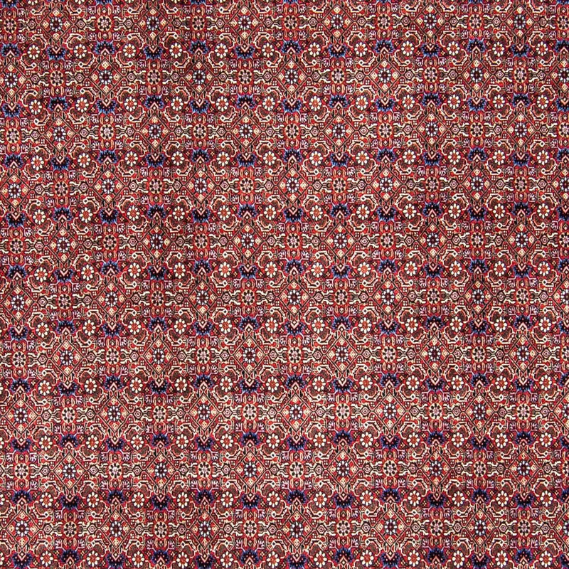 Perserteppich - Bidjar 292 x 250 cm
