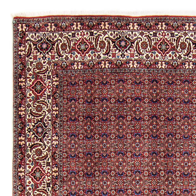 Perserteppich - Bidjar 292 x 250 cm
