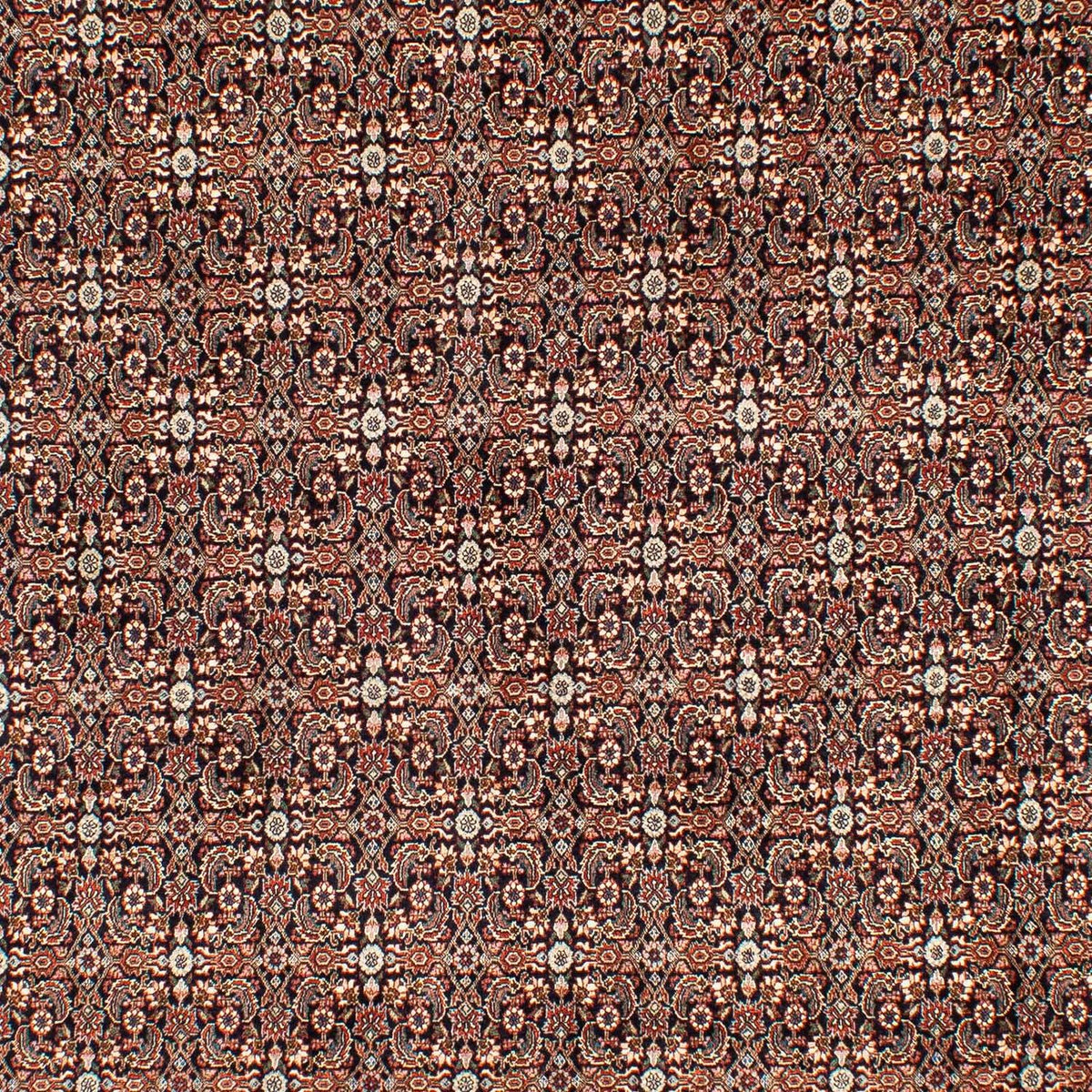 Perserteppich - Bidjar 300 x 204 cm Teppich Wohnzimmer