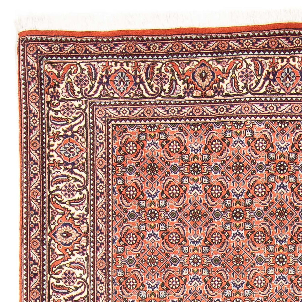 Bidjar Tappeto 168x239cm - Tappeto persiano - rosso chiaro