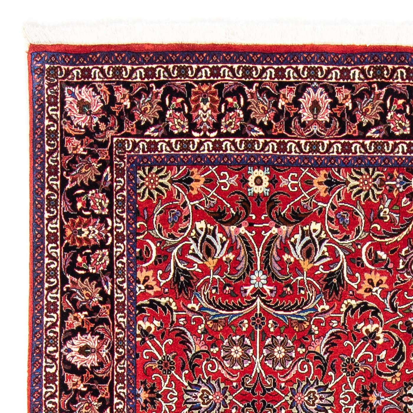 Tapis de Bidjar Tapis 242x175cm - Tapis persan