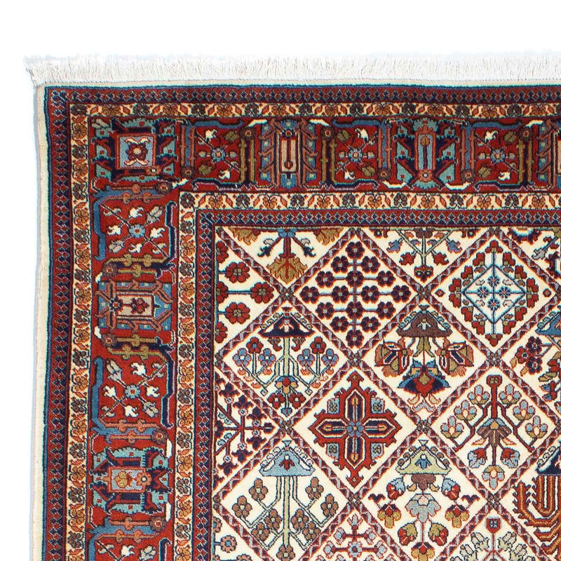 Gabbeh Teppich - Kaschkuli Persern 250 x 167 cm