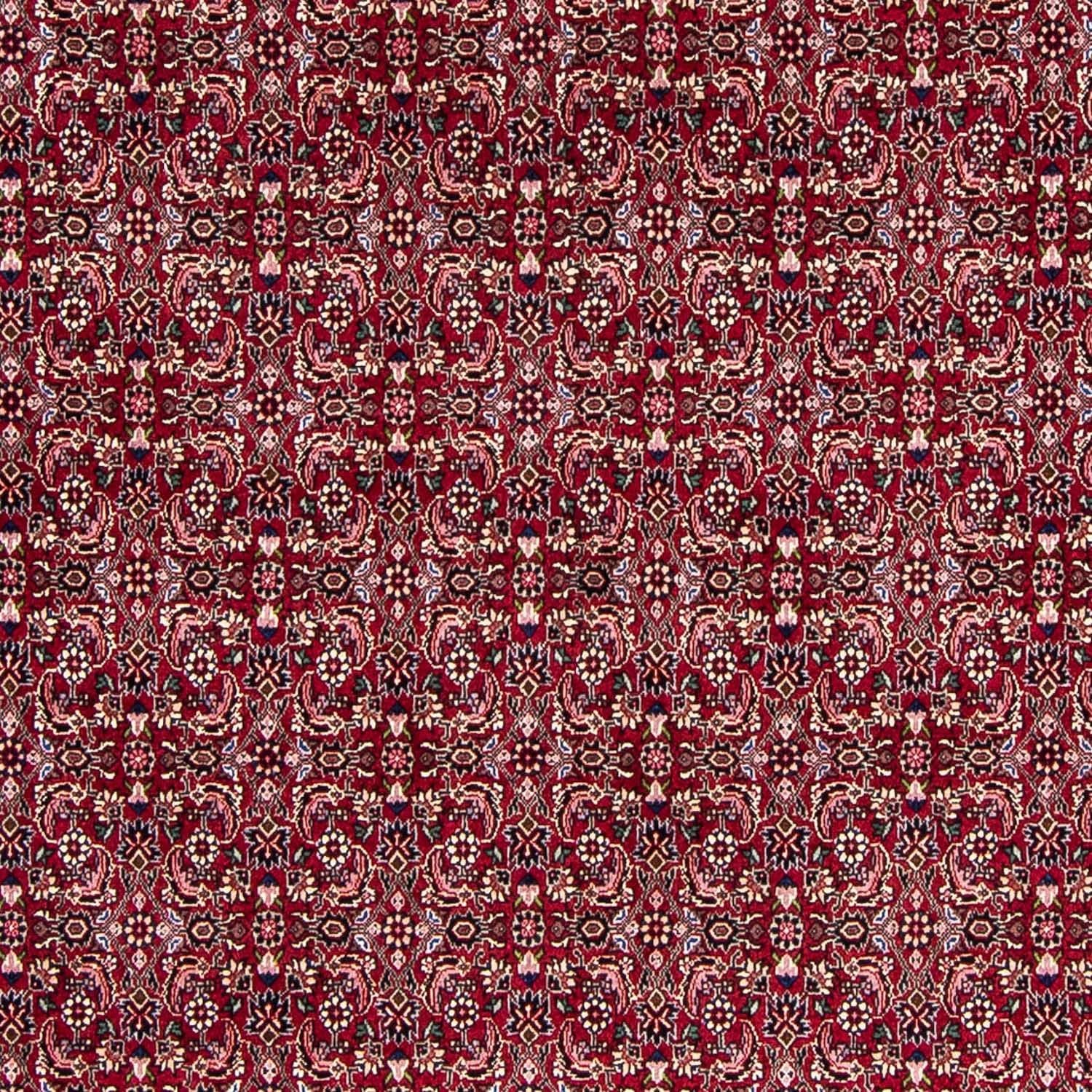 Perserteppich - Bidjar 245 x 174 cm Teppich Wohnzimmer