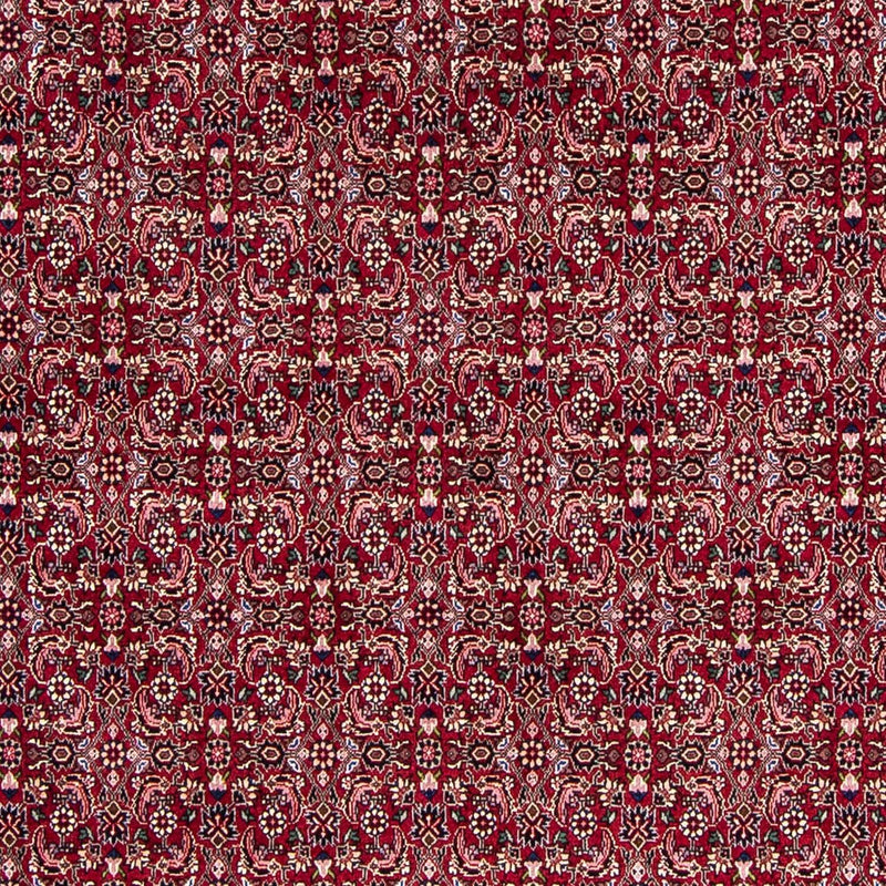 Perserteppich - Bidjar 245 x 174 cm Teppich Wohnzimmer