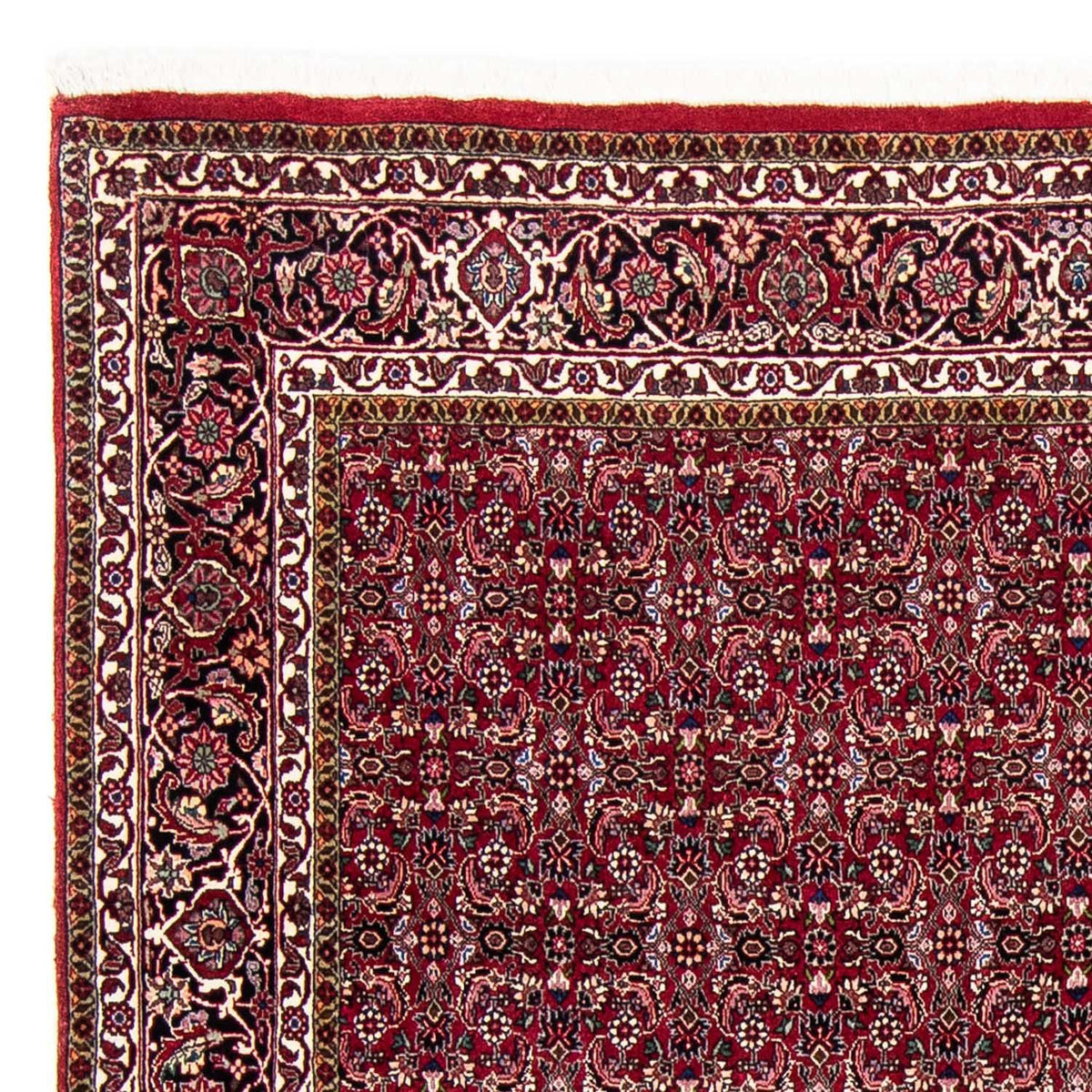 Perserteppich - Bidjar 245 x 174 cm Teppich Wohnzimmer