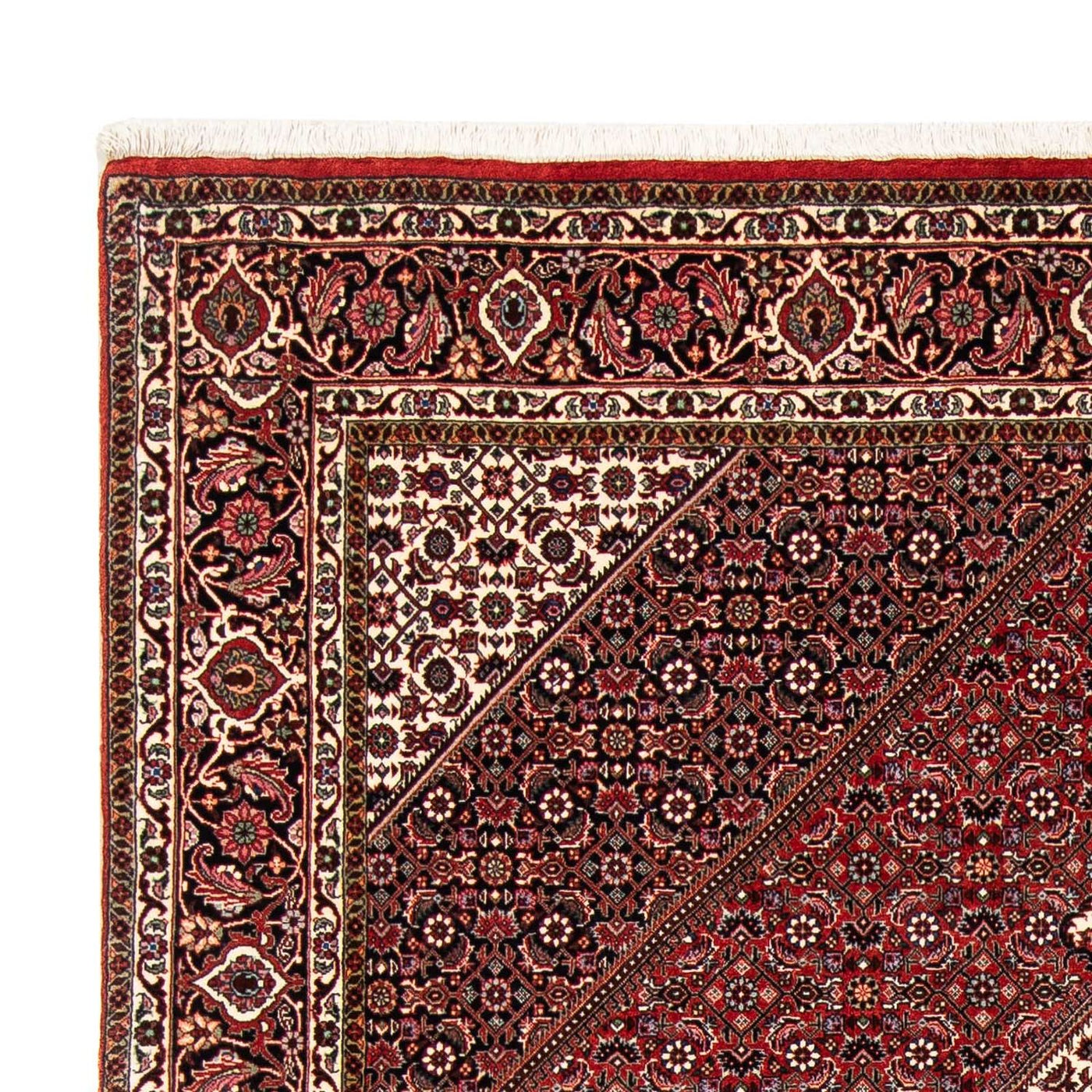Bidjar Tappeto 249x174cm - Tappeto persiano