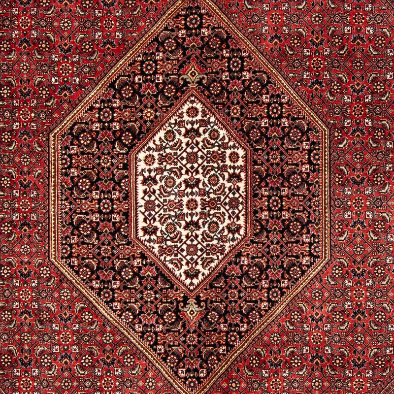 Perserteppich - Bidjar 240 x 171 cm - dunkelrot