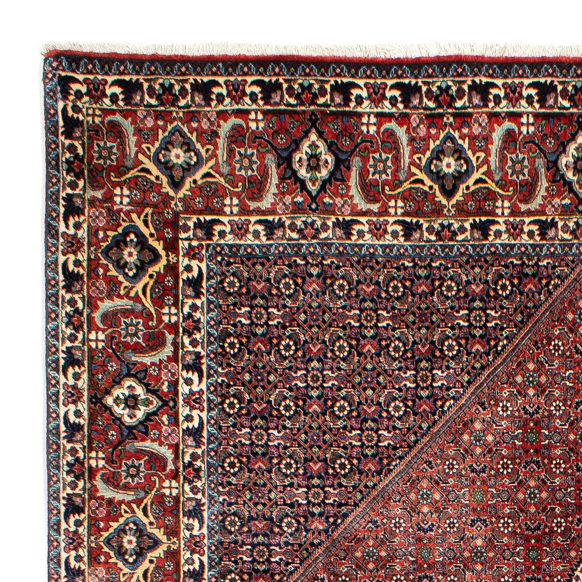 Bidjar Tappeto 208x301cm - Tappeto persiano - ruggine