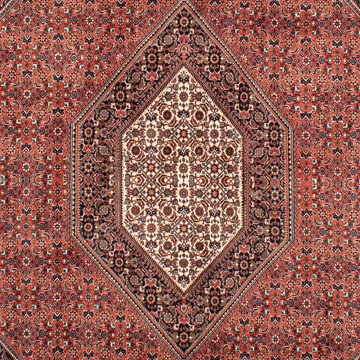 Perserteppich - Bidjar 300 x 203 cm