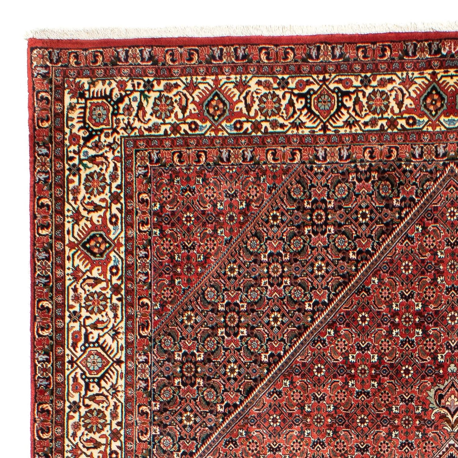 Perserteppich - Bidjar 300 x 203 cm