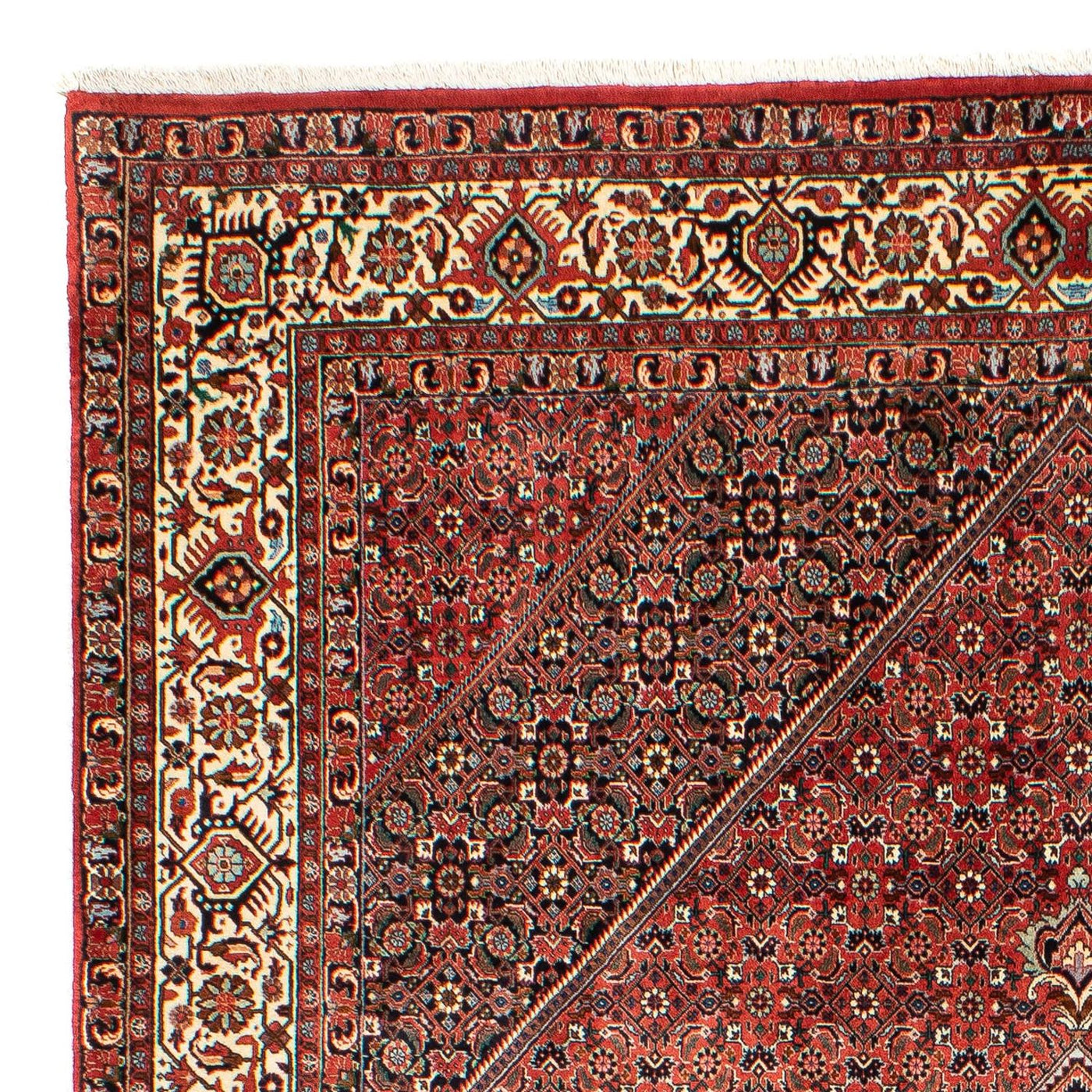 Bidjar Teppich 300x203cm - Perserteppich