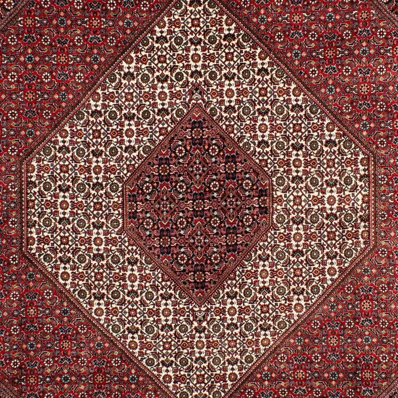 Perserteppich - Bidjar 300 x 203 cm