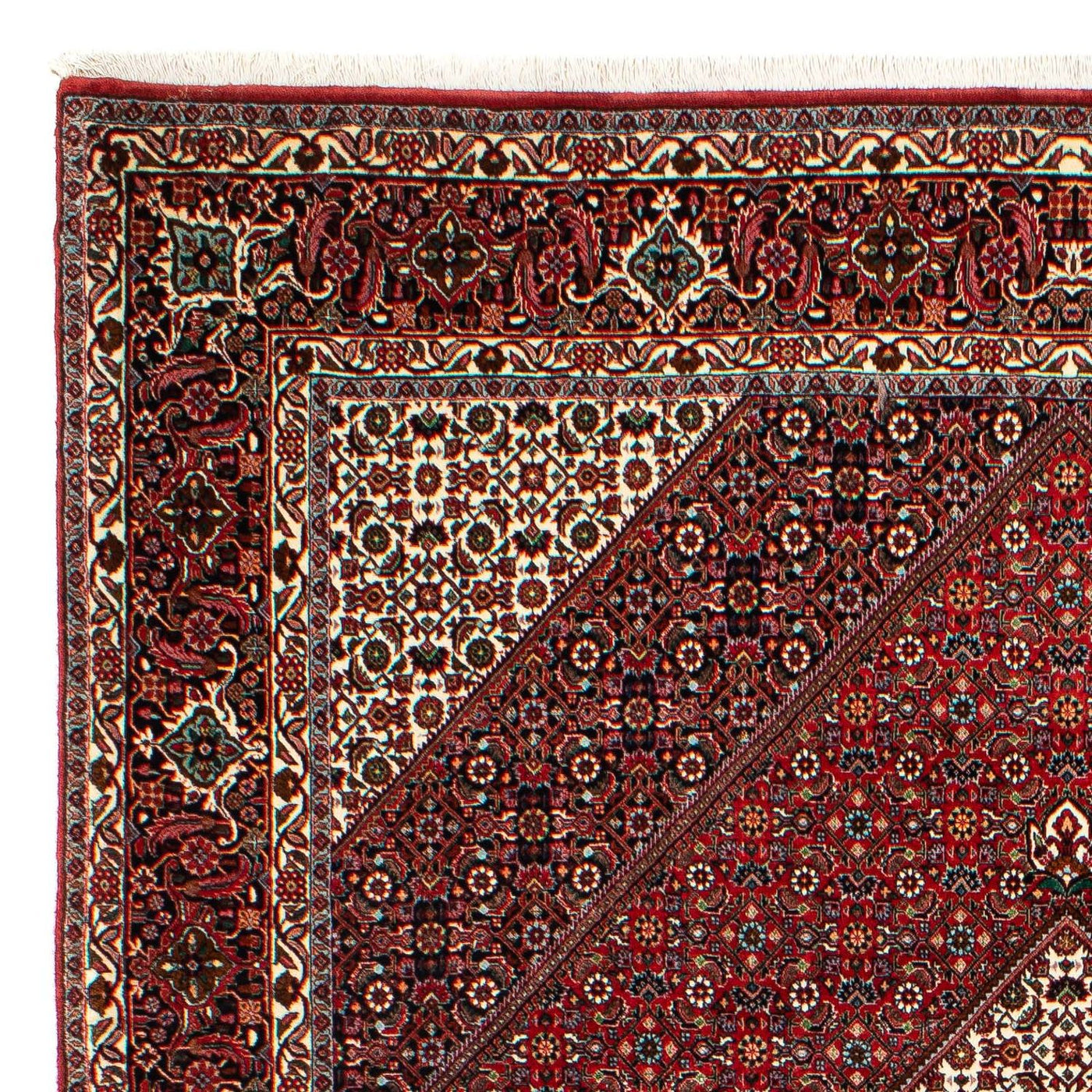 Bidjar Teppich 300x203cm - Perserteppich