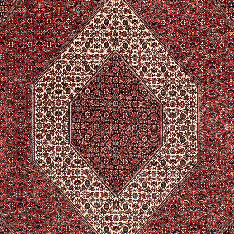 Perserteppich - Bidjar 305 x 203 cm