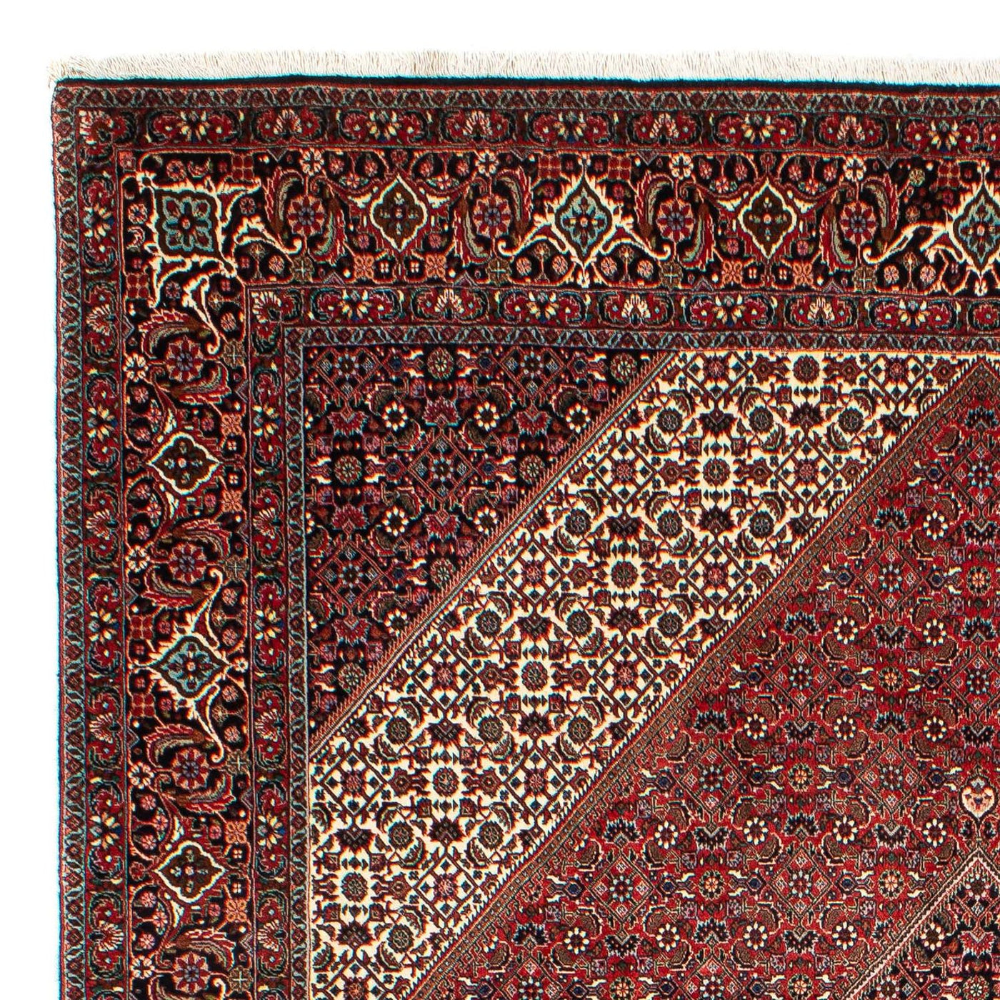 Bidjar Tappeto 309x208cm - Tappeto persiano