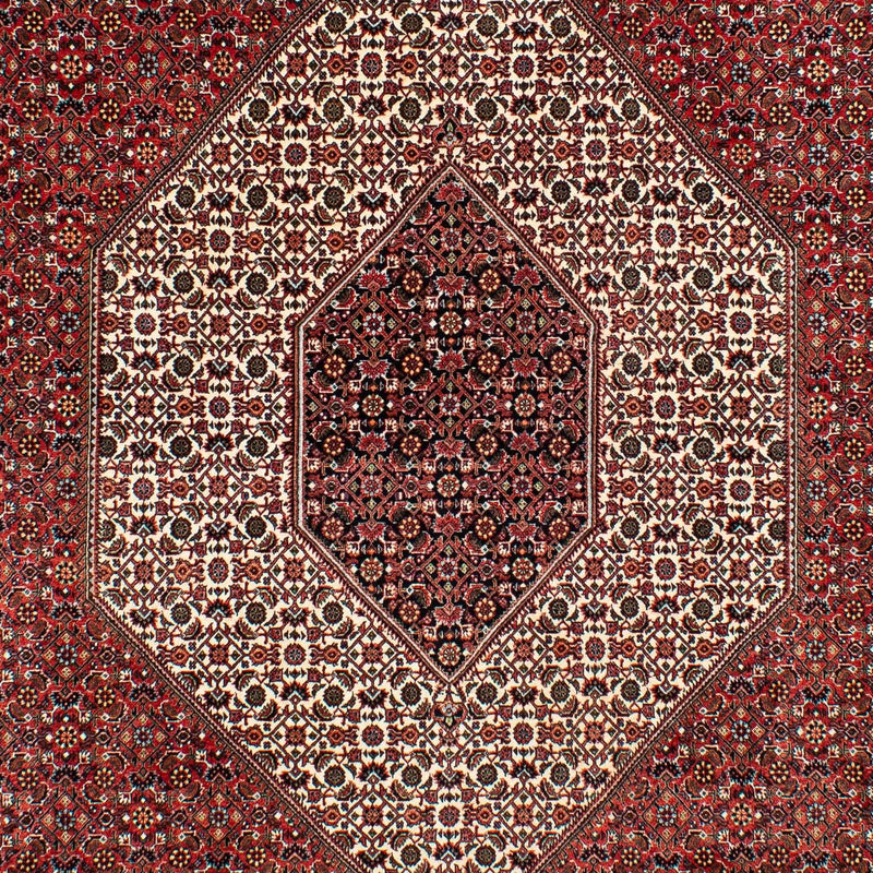 Perserteppich - Bidjar 317 x 201 cm