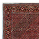 Perserteppich - Bidjar 317 x 201 cm