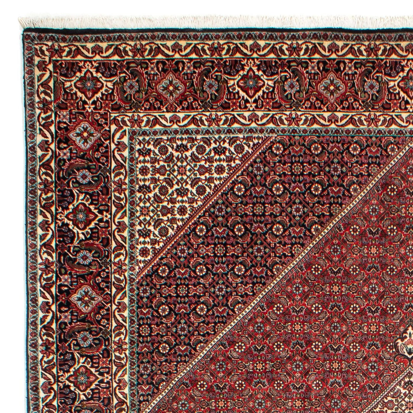 Tapis de Bidjar Tapis 311x205cm - Tapis persan
