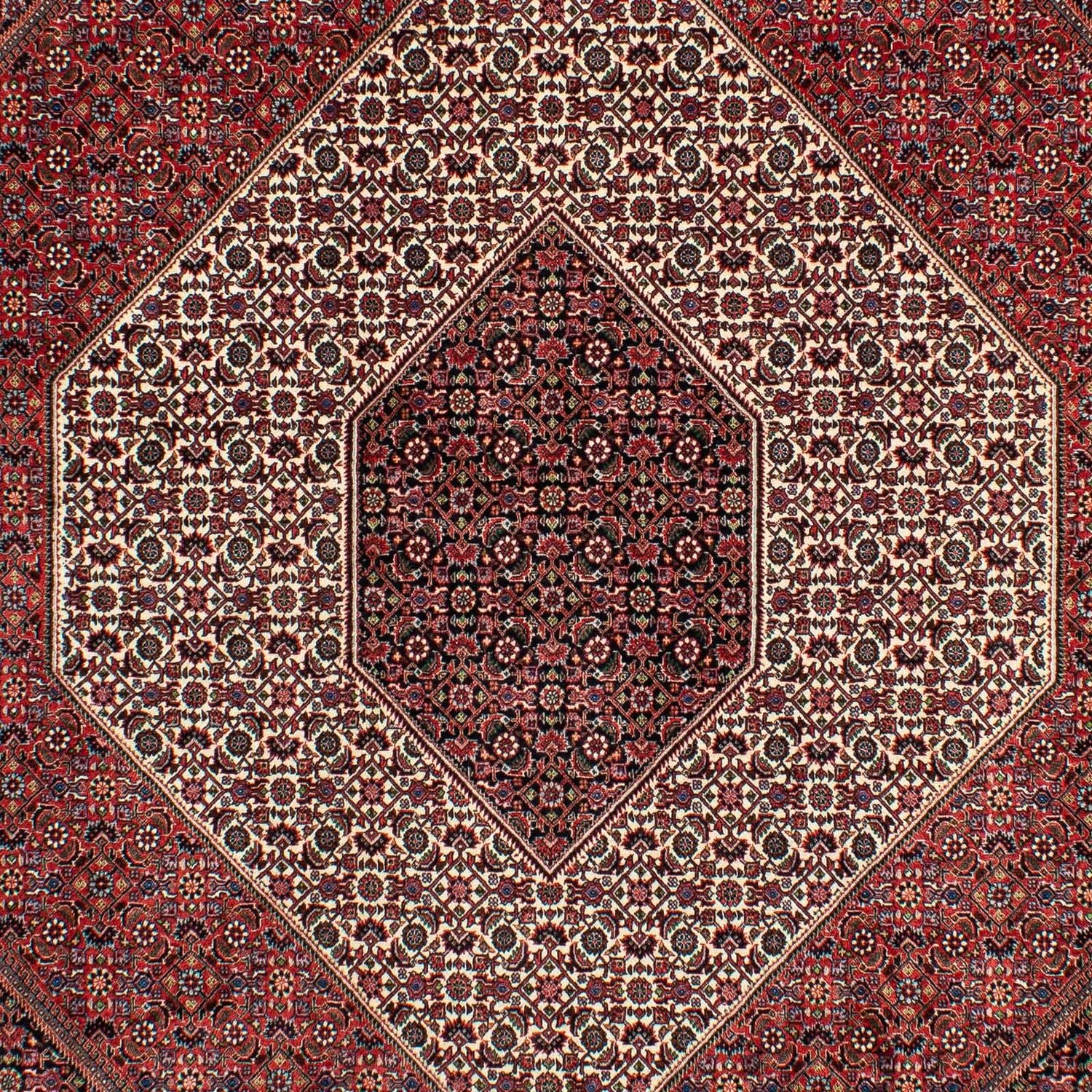 Perserteppich - Bidjar 300 x 206 cm
