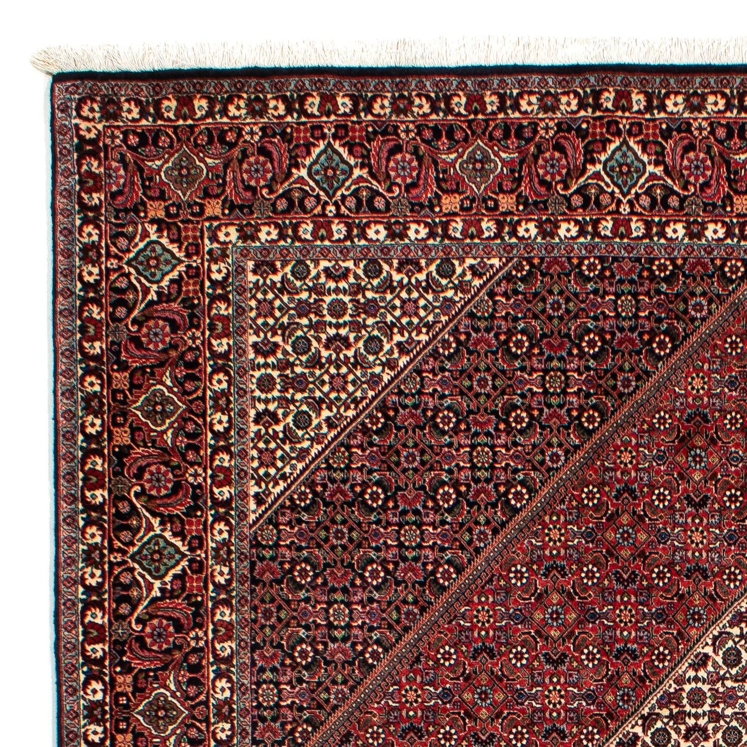 Perserteppich - Bidjar 300 x 206 cm