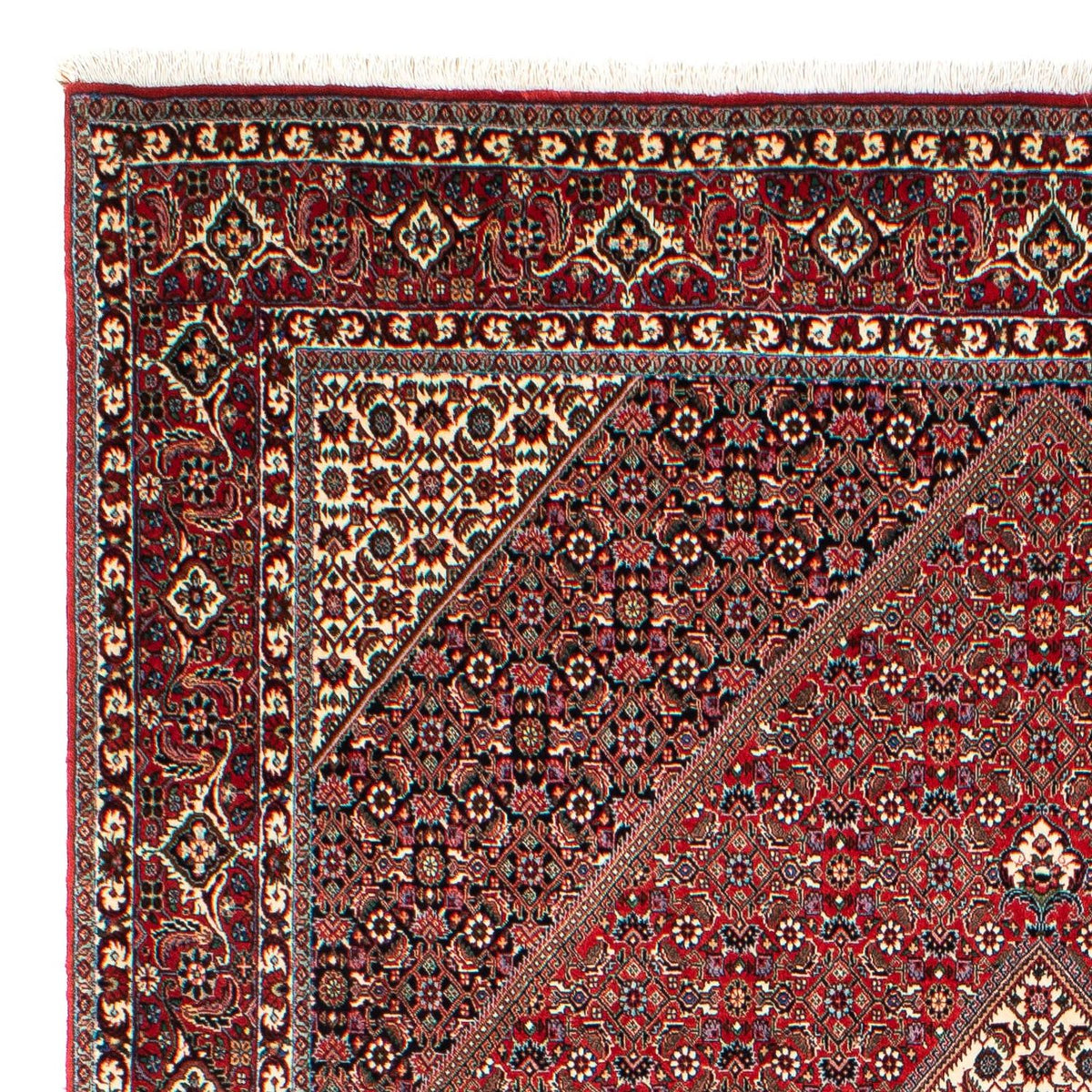 Bidjar Tappeto 203x300cm - Tappeto persiano - rosso chiaro
