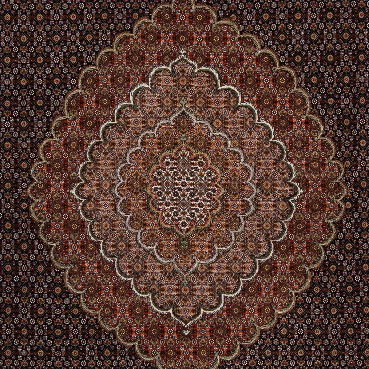 Perserteppich - Täbriz 353 x 255 cm