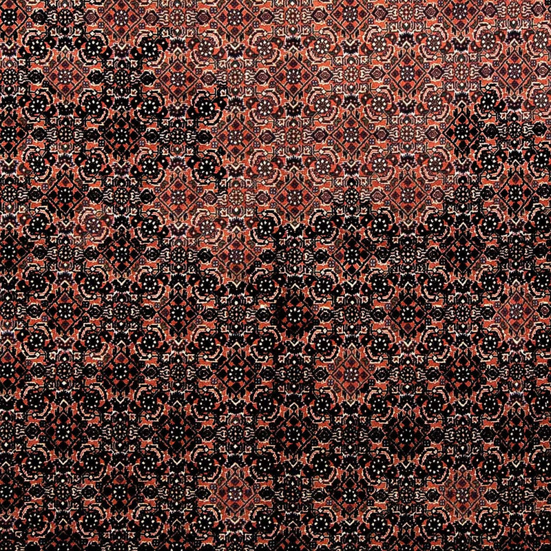 Perserteppich - Bidjar 250 x 173 cm