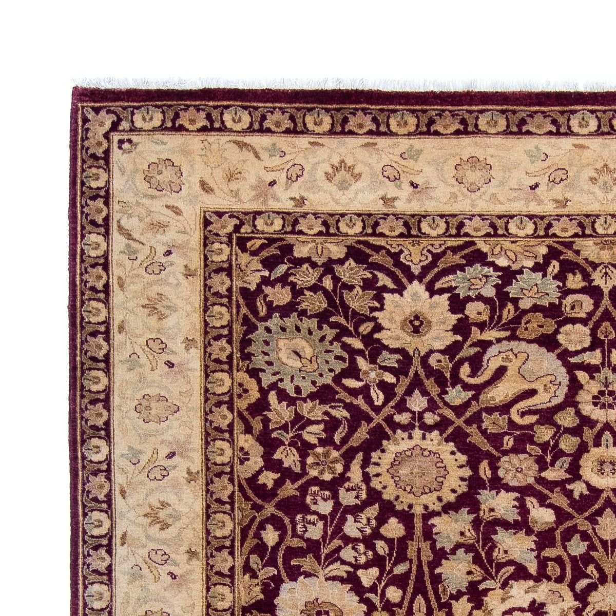 Ziegler Teppich 281 x 228 cm