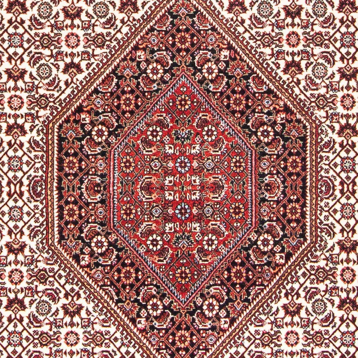 Perserteppich - Bidjar - Royal 170 x 112 cm