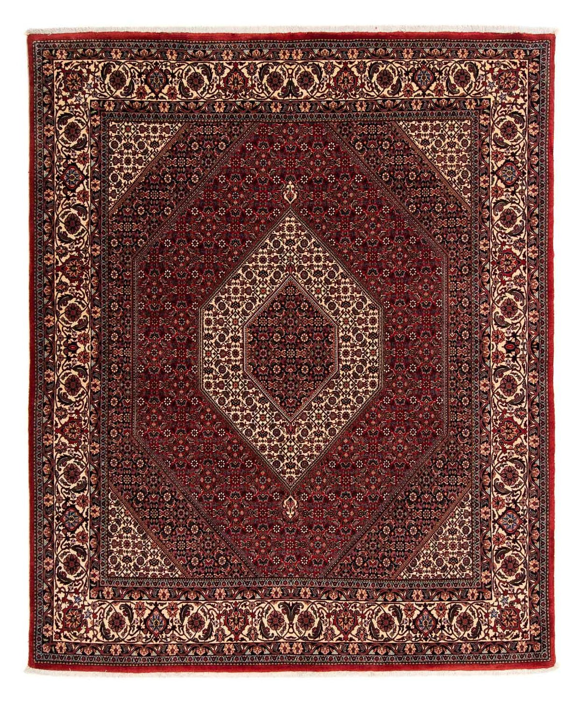 Perserteppich - Bidjar 247 x 202 cm