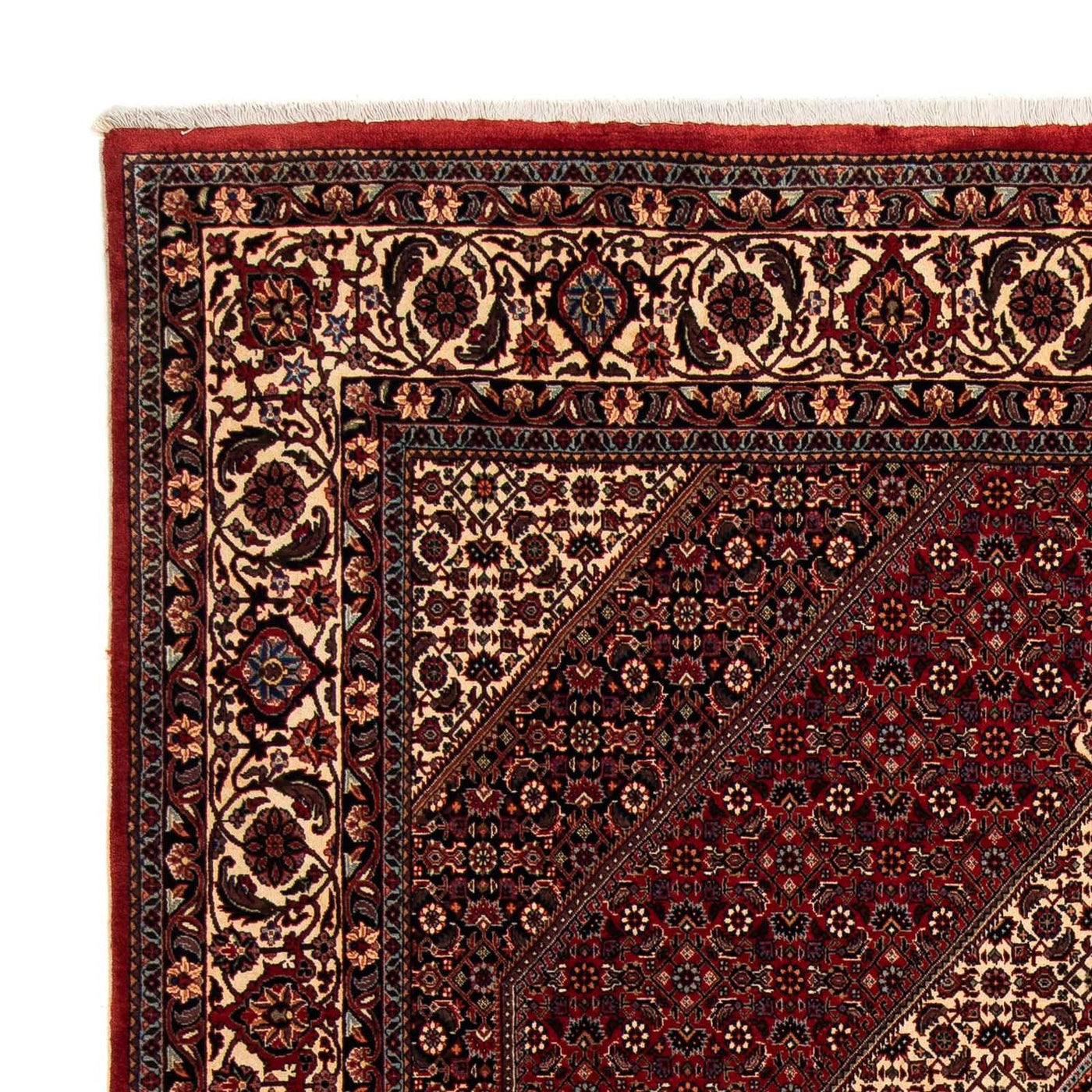 Bidjar Teppich 247x202cm - Perserteppich