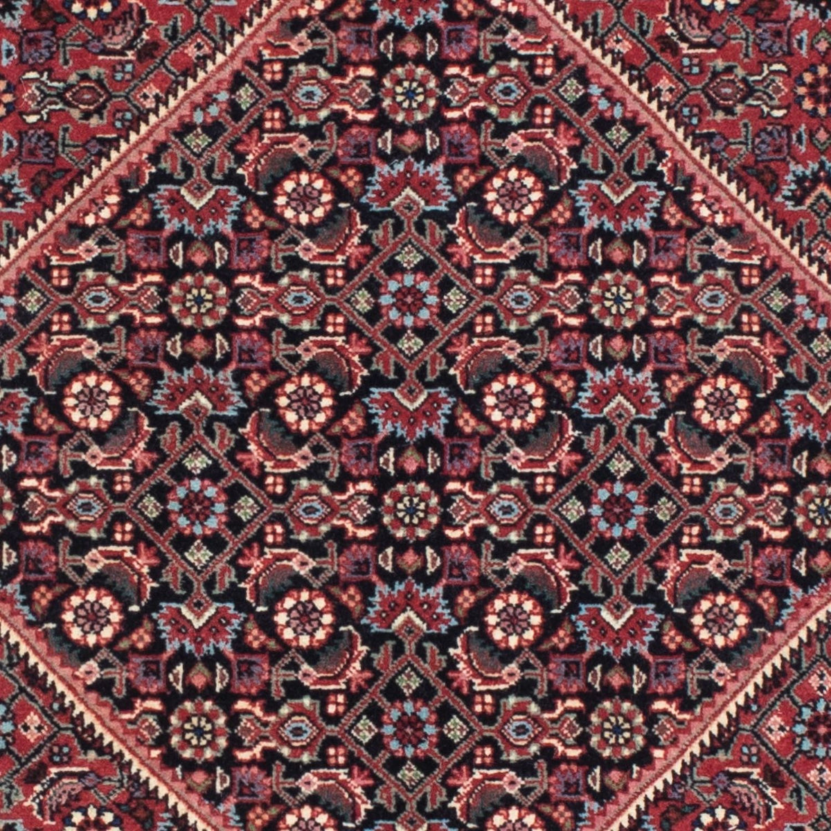 Perserteppich - Bidjar - Royal 209 x 72 cm