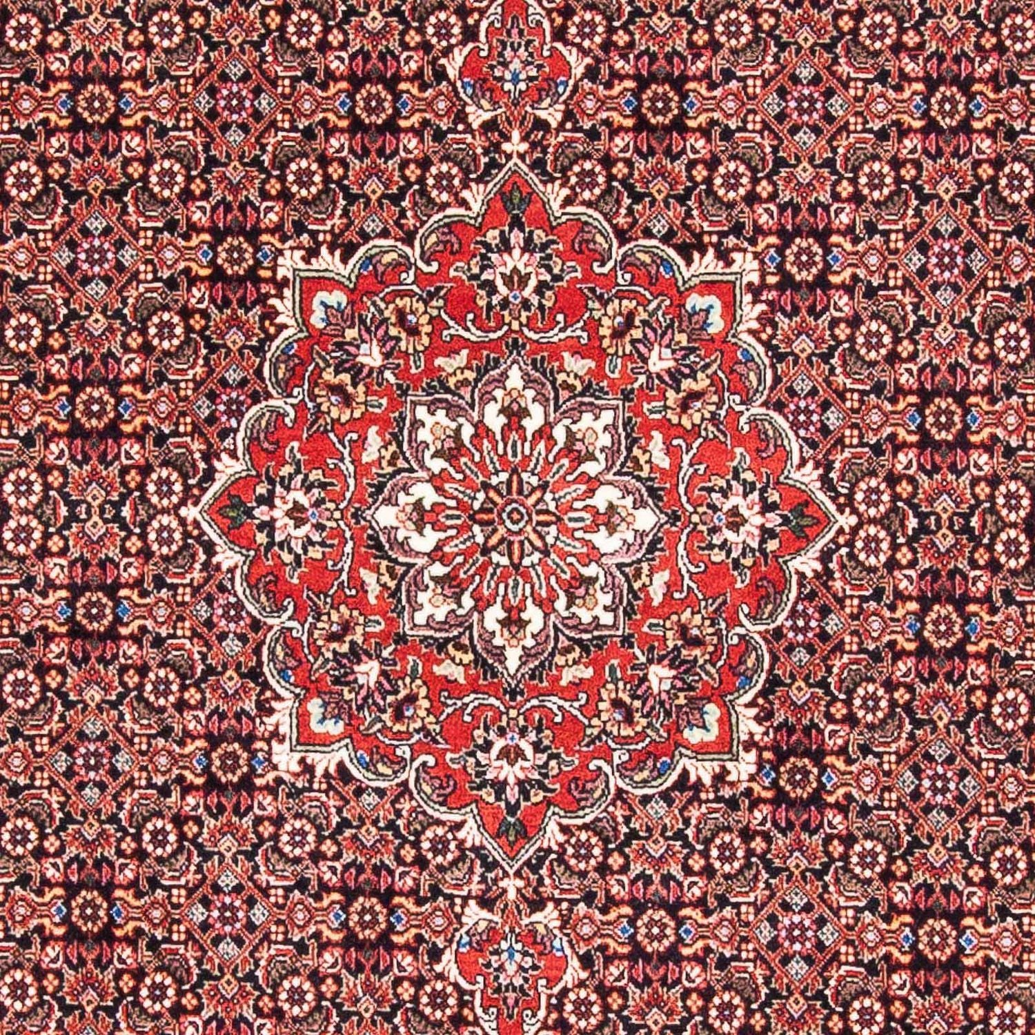 Perserteppich - Bidjar - Royal 170 x 109 cm