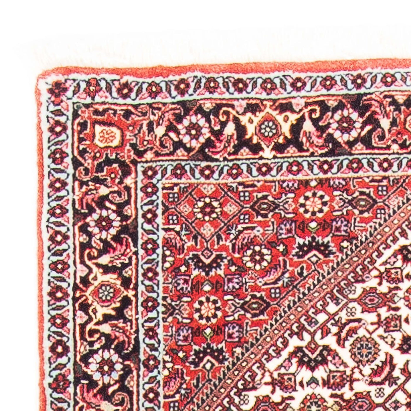 Tapis de Bidjar Tapis 152x75cm - Tapis persan