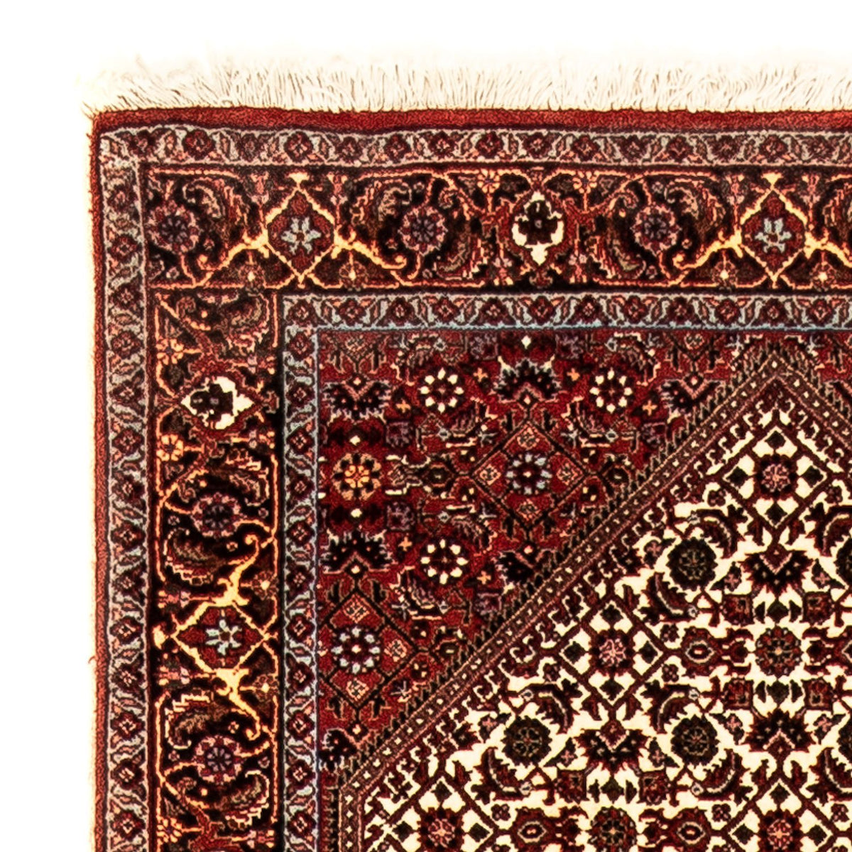 Tapis de Bidjar Tapis 85x325cm - Tapis persan - multicolore