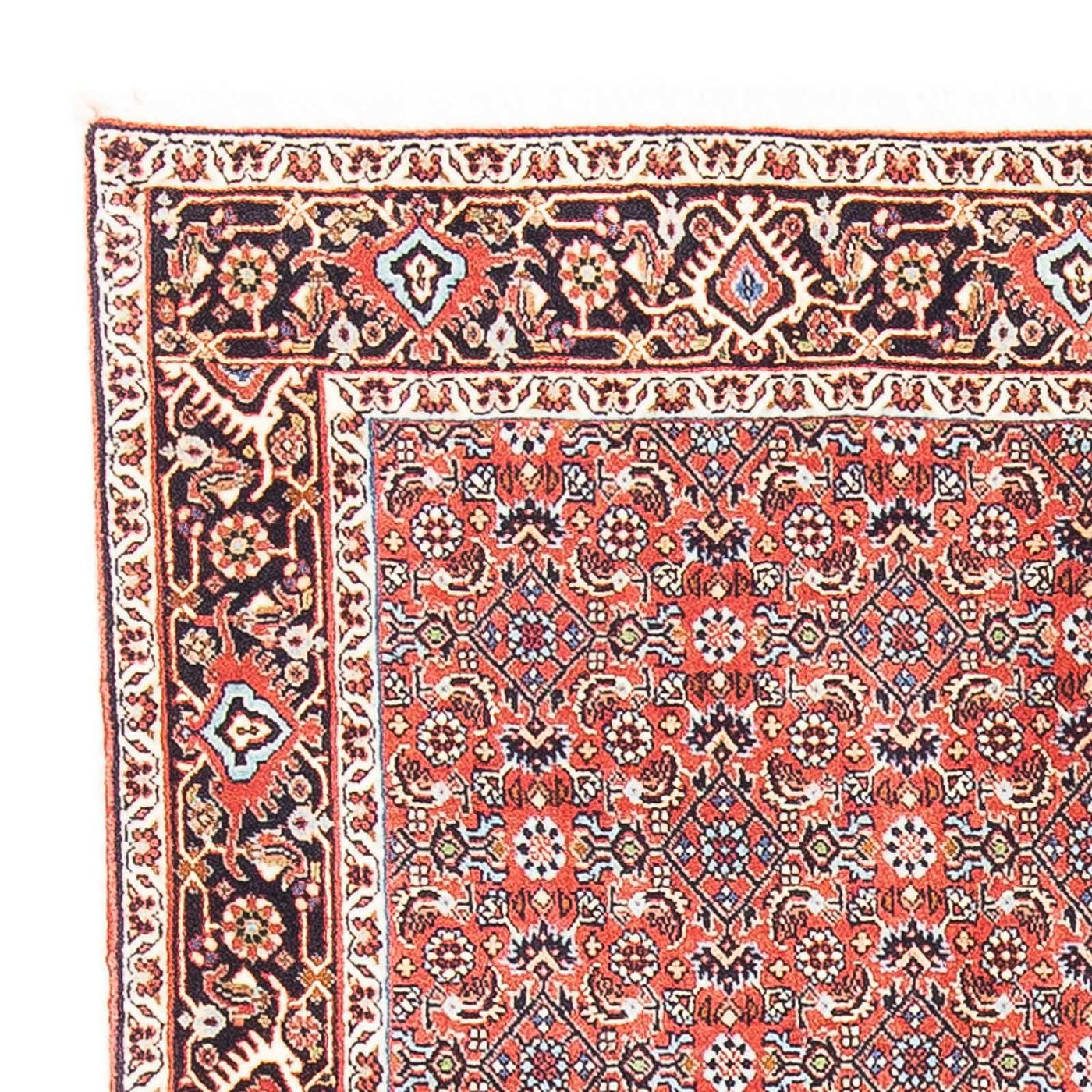 Tapis de Bidjar Tapis 137x96cm - Tapis persan