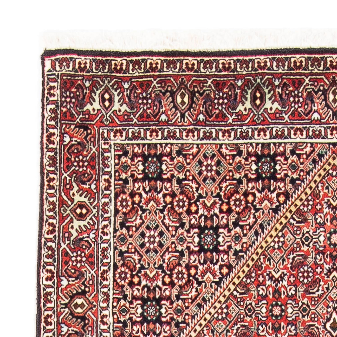Bidjar Tappeto 145x88cm - Tappeto persiano