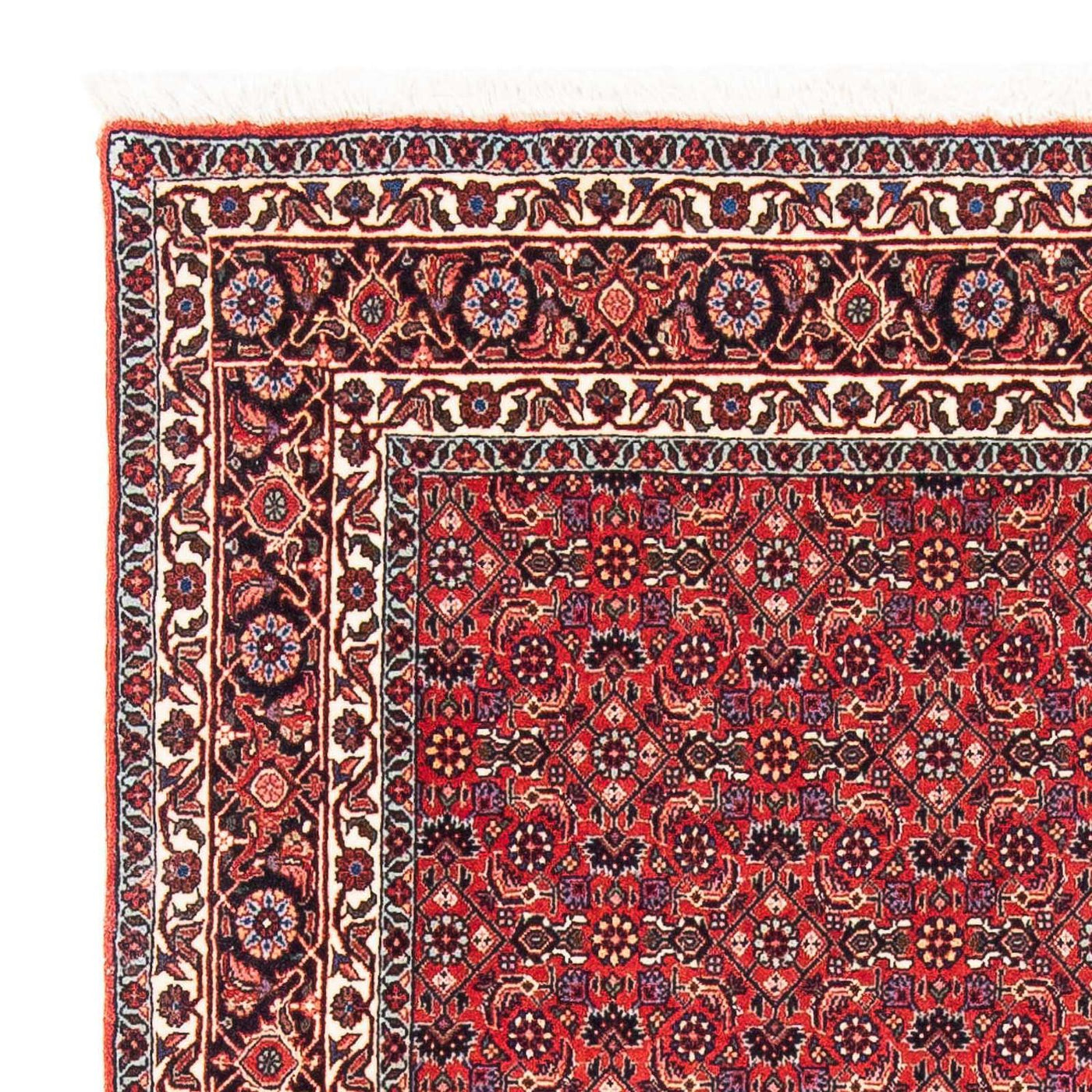 Tapis de Bidjar Tapis 126x124cm - Tapis persan