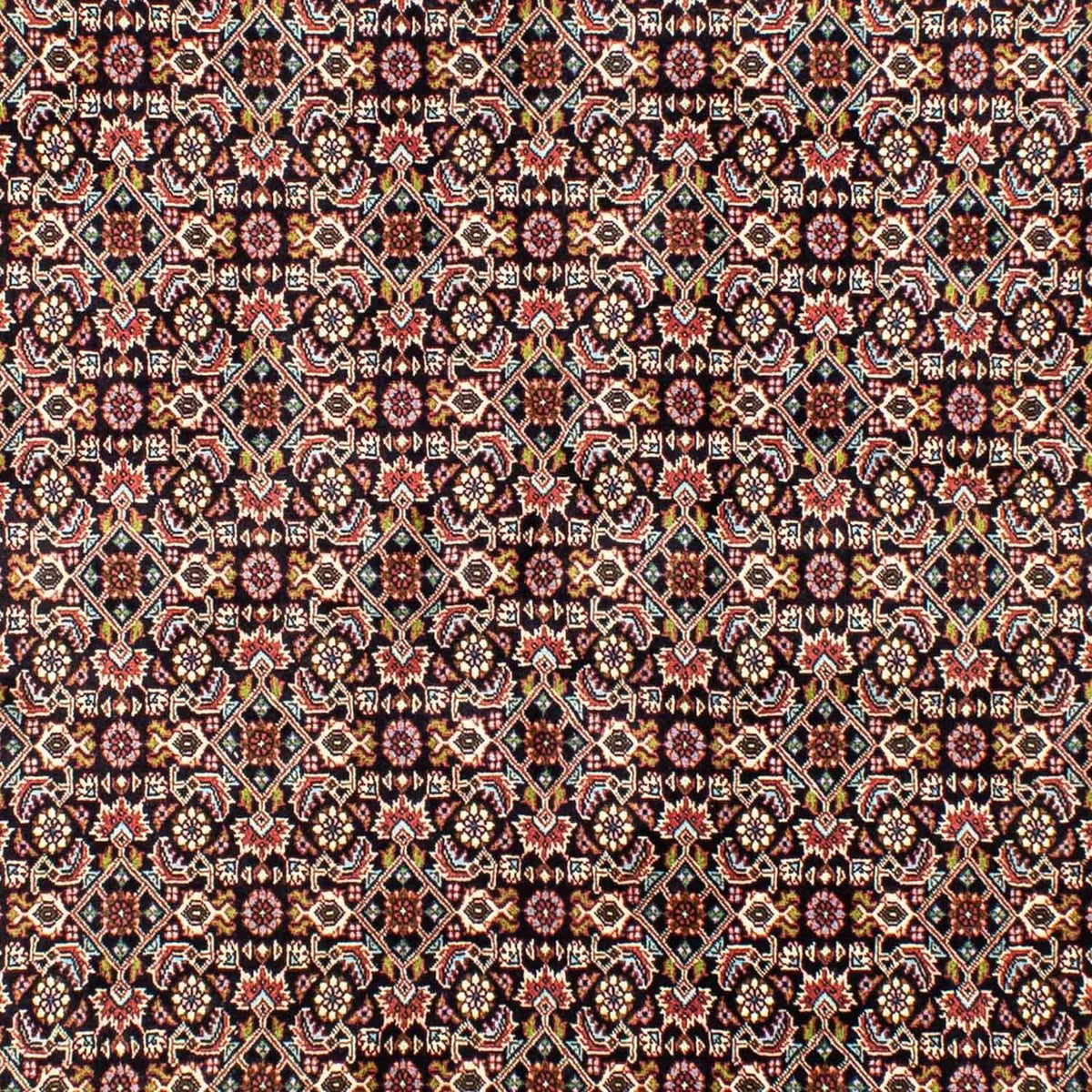 Perserteppich - Bidjar 248 x 173 cm