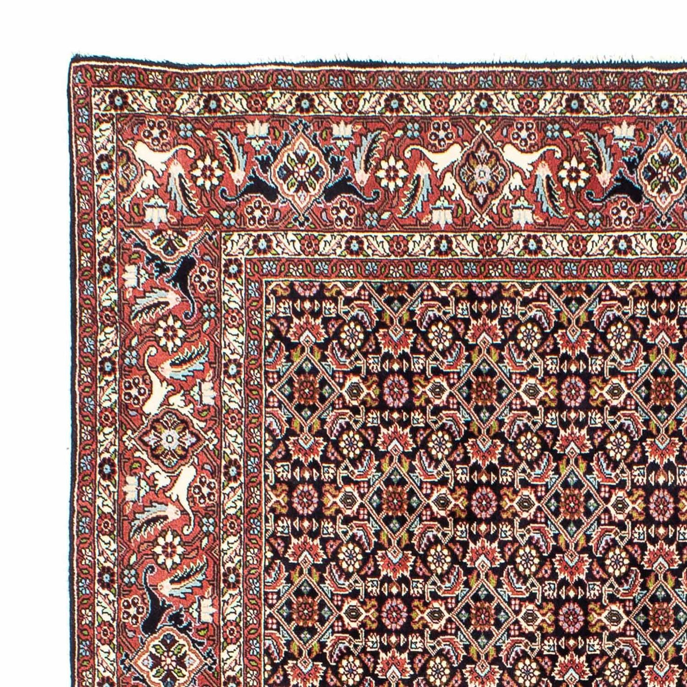 Bidjar Tappeto 248x173cm - Tappeto persiano