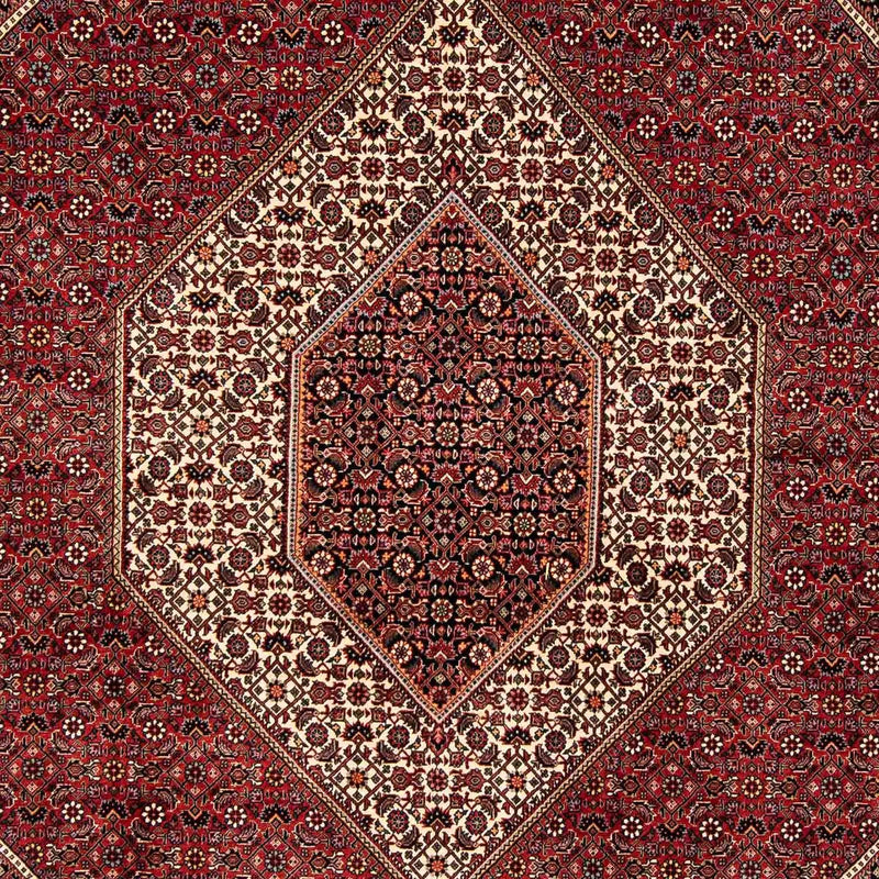 Perserteppich - Bidjar 252 x 205 cm