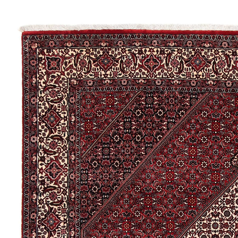 Perserteppich - Bidjar 252 x 203 cm