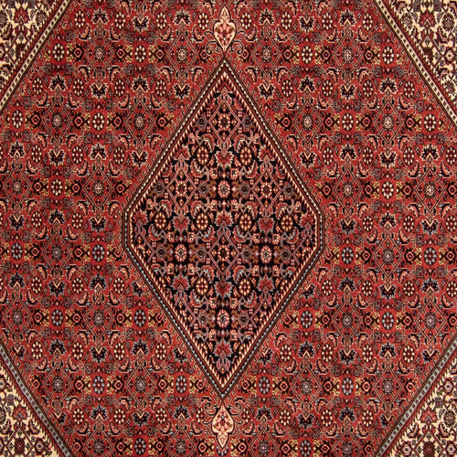 Perserteppich - Bidjar 343 x 250 cm
